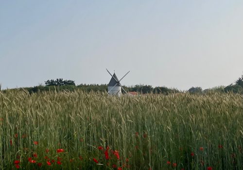 Moulin vu des champs