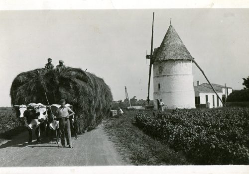 Moulin de La Brée_culture